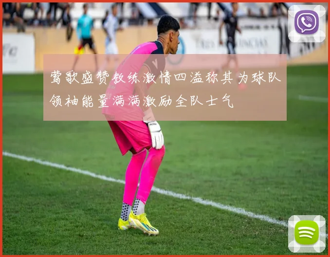 莺歌盛赞教练激情四溢称其为球队领袖能量满满激励全队士气