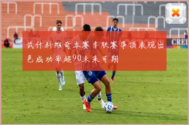 武什科维奇本赛季联赛争顶表现出色成功率超90未来可期